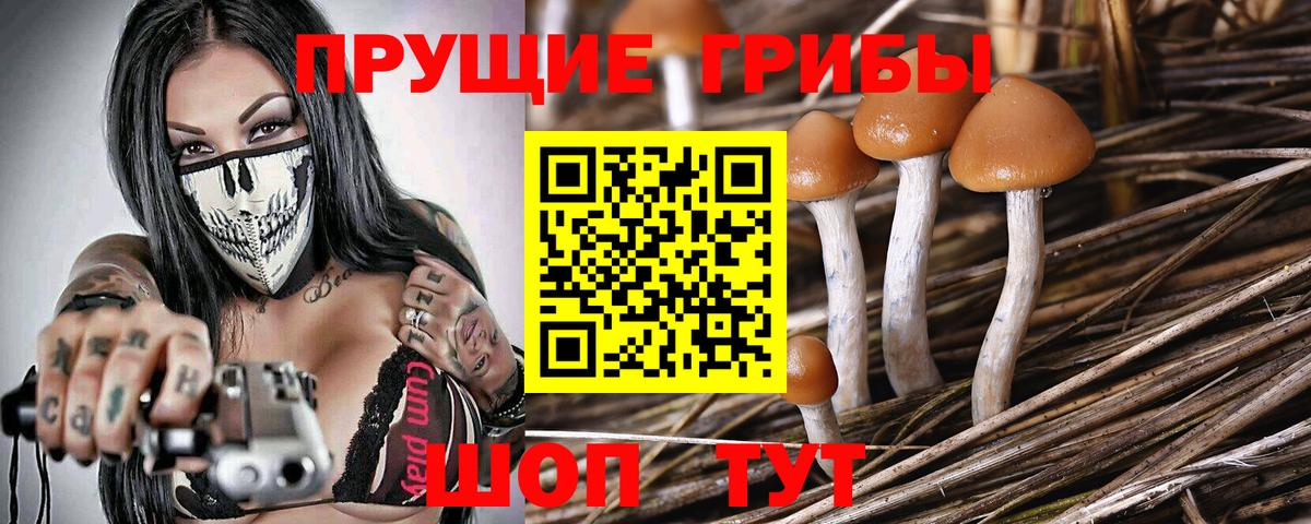 Псилоцибиновые грибы прущие грибы  Вход с VPN  Ярославль  Галлюциногенные грибы ЛСД 
