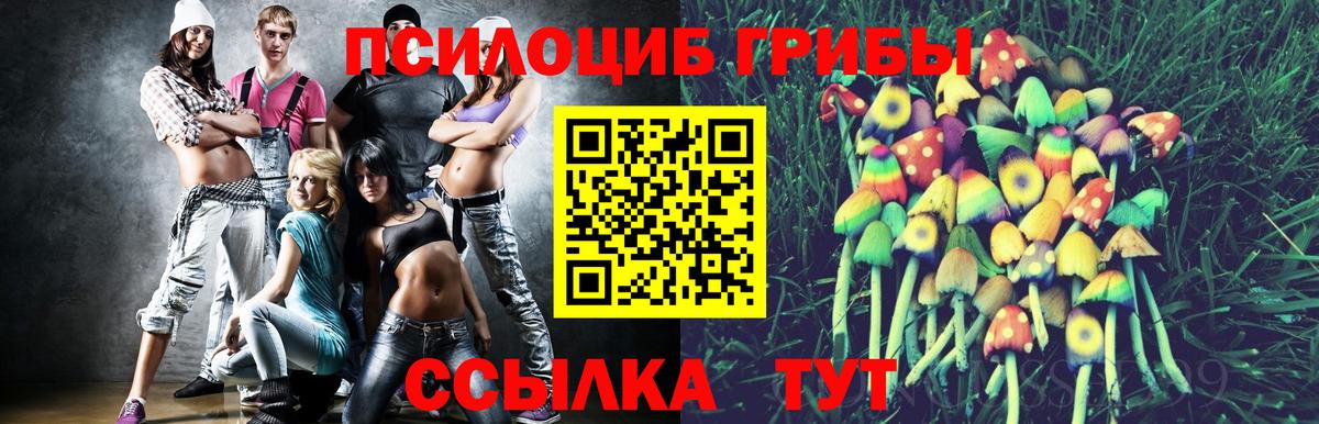 Псилоцибиновые грибы ЛСД Ярославль